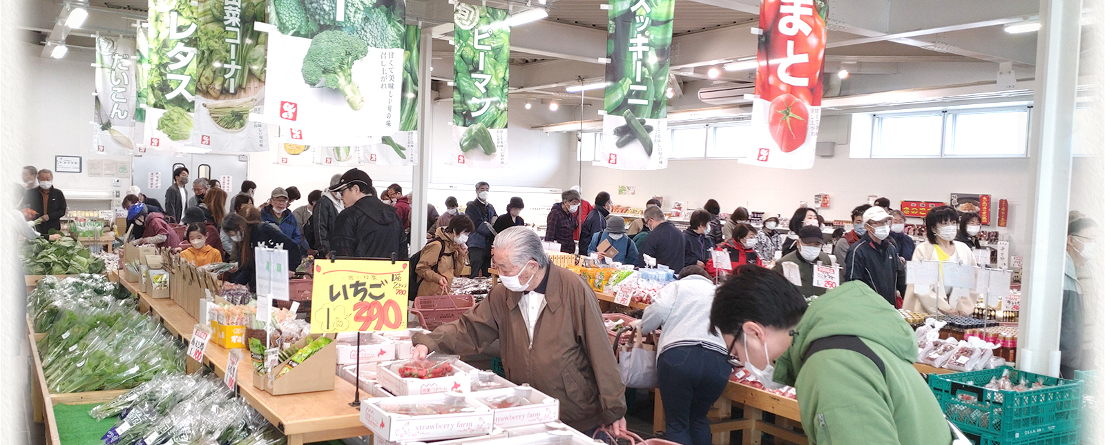 のっぽろ野菜直売所